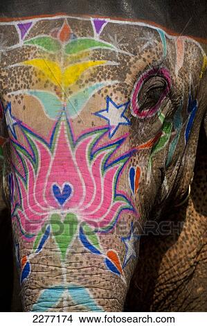 Elephant, Amber Fort, Jaipur, India. View Large Photo Image Picture - Elephant, Amber Fort, Jaipur, India.. Fotosearch