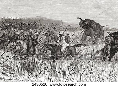 Stock Photograph - Elephant hunters in the 19th century being charged by an elephant. From Edward VII His Life and Times, published 1910.. Fotosearch
