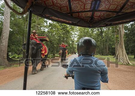 Stock Photo - Elephant on the road of Angkor; Siem Reap, Cambodia. Fotosearch
