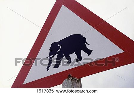 Stock Photography - Elephant Sign In Addo National Park. Fotosearch