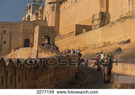 Elephants going up and down path to Amber Fort; Amer, Jaipur, India View Large Photo Image Stock Photo - Elephants going up and down path to Amber Fort; Amer, Jaipur, India. Fotosearch