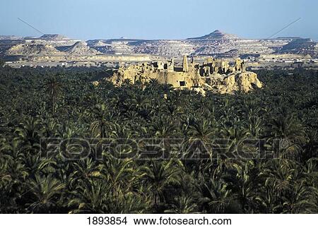 Picture - Elevated View Of Aghurmi Over Palm Groves. Fotosearch