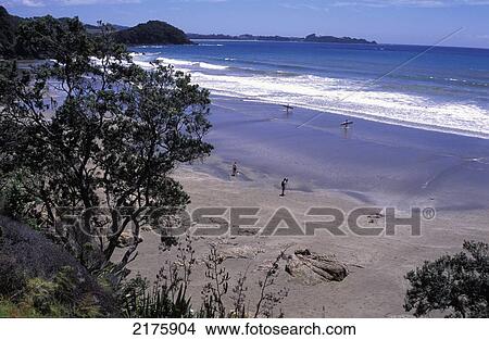 Picture - Elevated View Of Beach. Fotosearch