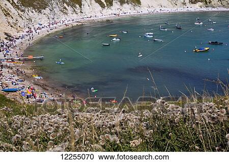 Elevated view of Lulworth Cove; Dorset, England View Large Photo Image Stock Image - Elevated view of Lulworth Cove; Dorset, England. Fotosearch