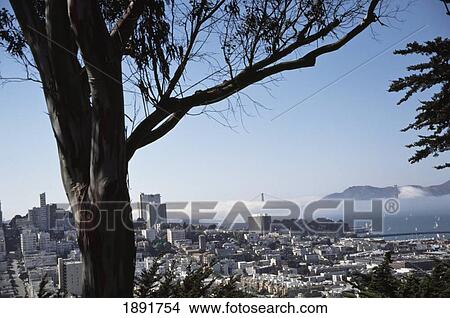 Elevated View Of San Francisco View Large Photo Image Picture - Elevated View Of San Francisco. Fotosearch