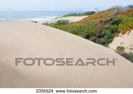 Elevated View Of Sand Dune; California, Usa View Large Photo Image Picture - Elevated View Of Sand Dune; California, Usa. Fotosearch