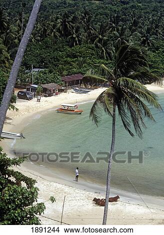 Elevated View Of Tropical Beach View Large Photo Image Picture - Elevated View Of Tropical Beach. Fotosearch