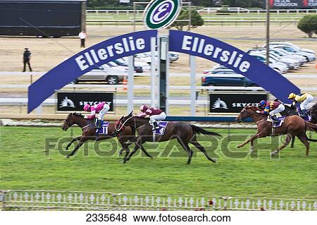 Ellerslie Horse Race; New Zealand View Large Photo Image Stock Photo - Ellerslie Horse Race; New Zealand. Fotosearch