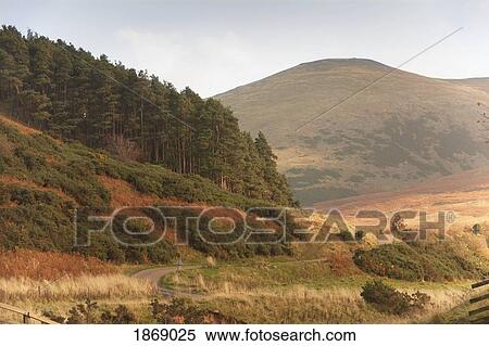 Stock Photography - Elsdon Burn, Northumberland, England; A Landscape Of Hills And Forest. Fotosearch