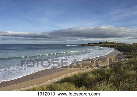 Stock Image - Embleton Bay With Dunstanburgh Castle In Distance, Northumberland, England, Uk. Fotosearch