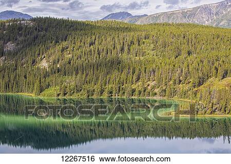 Emerald Lake near Carcross; Yukon, Canada View Large Photo Image Stock Photograph - Emerald Lake near Carcross; Yukon, Canada. Fotosearch
