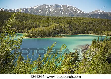 Emerald Lake, Yukon Territory, Canada View Large Photo Image Stock Photography - Emerald Lake, Yukon Territory, Canada. Fotosearch