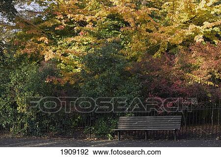Empty Bench In Greenwich Park, London, Uk View Large Photo Image Stock Image - Empty Bench In Greenwich Park, London, Uk. Fotosearch