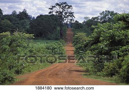Stock Image - Empty Dirt Road In Lush Landscape. Fotosearch