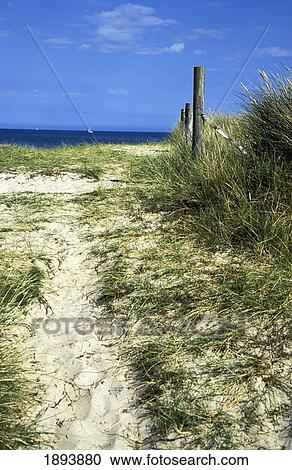 Empty Path Through Sand Dunes On Beach View Large Photo Image Stock Image - Empty Path Through Sand Dunes On Beach. Fotosearch
