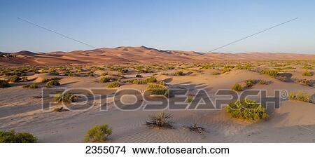 Empty Quarter in Liwa Oasis; Liwa Oasis, Abu Dhabi, United Arab Emirates View Large Photo Image Picture - Empty Quarter in Liwa Oasis; Liwa Oasis, Abu Dhabi, United Arab Emirates. Fotosearch