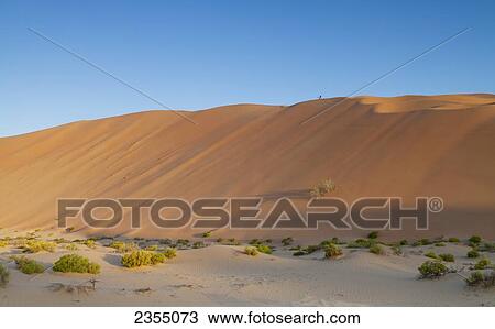 Stock Image - Empty Quarter in Liwa Oasis; Liwa Oasis, Abu Dhabi, United Arab Emirates. Fotosearch