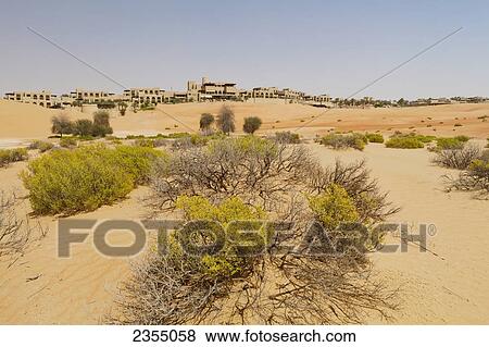 Empty Quarter in Liwa Oasis; Liwa Oasis, Abu Dhabi, United Arab Emirates View Large Photo Image Stock Photo - Empty Quarter in Liwa Oasis; Liwa Oasis, Abu Dhabi, United Arab Emirates. Fotosearch