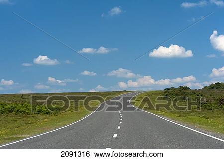 Stock Photograph - Empty Road In The New Forest, Hampshire, Uk. Fotosearch
