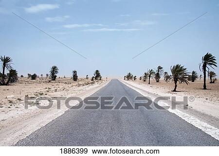 Stock Photo - Empty Road With Palm Trees In Desert Landscape. Fotosearch