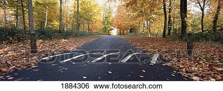 Empty Road With Speed Bump In Autumn View Large Photo Image Stock Photograph - Empty Road With Speed Bump In Autumn. Fotosearch