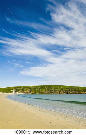 Empty Sandy Beach With Grass In Background View Large Photo Image Stock Photography - Empty Sandy Beach With Grass In Background. Fotosearch
