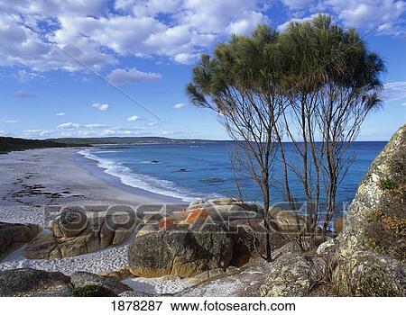 Stock Photo - Empty Tasmanian Beach With Rocks And Trees. Fotosearch