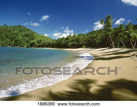 Empty Tropical Beach With Waves Lapping The Shore View Large Photo Image Stock Image - Empty Tropical Beach With Waves Lapping The Shore. Fotosearch