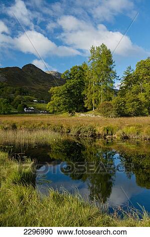 England, Cumbria, Lake District National Park, Calm waters of Little Langdale Tarn; Little Langdale View Large Photo Image Stock Image - England, Cumbria, Lake District National Park, Calm waters of Little Langdale Tarn; Little Langdale. Fotosearch