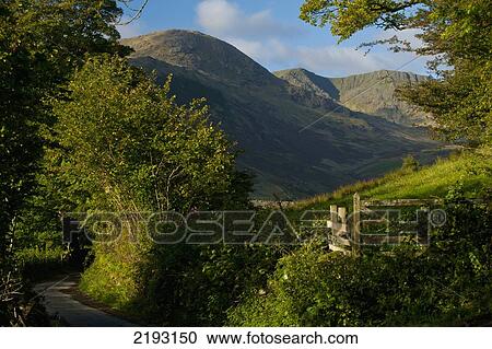 Stock Image - England, Cumbria, Looking down lane and over hedge to Tilberthwaite Fells early in the morning; Lake District National Park. Fotosearch