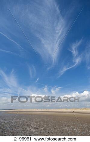 England, Dunes at Camber Sands at low tide; East Sussex View Large Photo Image Stock Image - England, Dunes at Camber Sands at low tide; East Sussex. Fotosearch