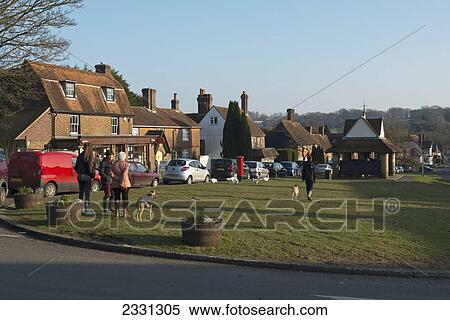Stock Photography - England, Geese wandering around Sedlescombe Village Green; East Sussex. Fotosearch