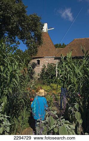 Stock Photo - England, Perch Hill Farm and Gardens; East Sussex. Fotosearch