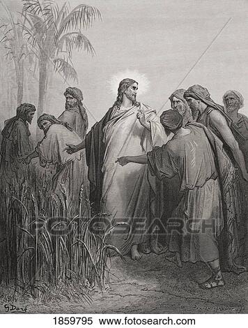 Stock Photography - Engraving From The Dore Bible Illustrating Mark Ii 23 Jesus And His Disciples In The Corn Field By Gustave Dore 1832-1883 French Artist And Illustrator. Fotosearch
