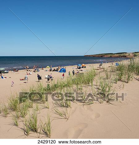 Enjoying a beach on the Atlantic coast; Green Gables, Prince Edward Island, Canada View Large Photo Image Stock Image - Enjoying a beach on the Atlantic coast; Green Gables, Prince Edward Island, Canada. Fotosearch