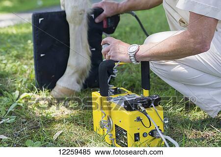 Stock Photography - Equine vet taking an x-ray on a horse's leg; Sparks, Maryland, United States of America. Fotosearch