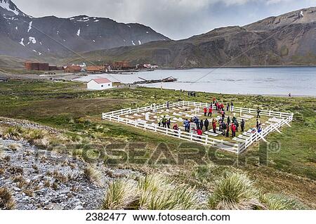Ernest Shackleton's grave site at Grytviken, South Georgia Island; Svalbard, Norway View Large Photo Image Stock Photo - Ernest Shackleton's grave site at Grytviken, South Georgia Island; Svalbard, Norway. Fotosearch
