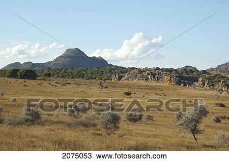 Stock Image - Eroded Jurassic Sandstone Massif In Isalo National Park, Fianarantsoa Province, Madagascar. Fotosearch