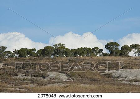 Stock Photo - Eroded Jurassic Sandstone Massif In Isalo National Park, Fianarantsoa Province, Madagascar. Fotosearch
