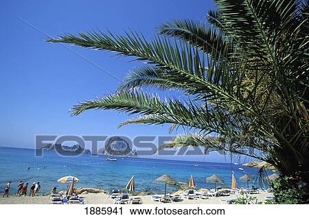 Stock Image - Es Vedra Rock Beach And Palm Tree. Fotosearch