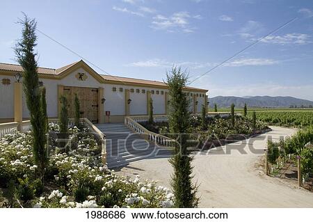Stock Photograph - Estancia El Cuadro, Casablanca Valley, Valparaiso Region, Chile. Fotosearch