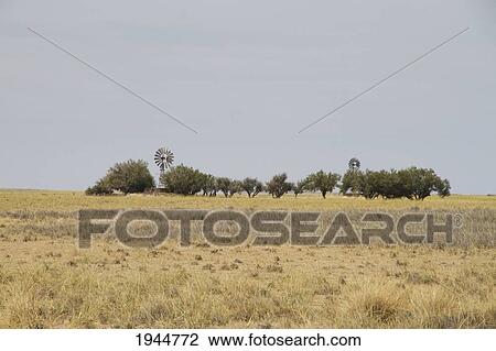 Estancia, Peninsula Valdes, Chubut, Argentina View Large Photo Image Stock Image - Estancia, Peninsula Valdes, Chubut, Argentina. Fotosearch