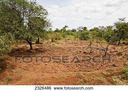 Stock Photograph - Ethiopia, Omo Valley, Southern Mursiland, View of field and benna kulugto (Stone Platform); Dirikoro. Fotosearch