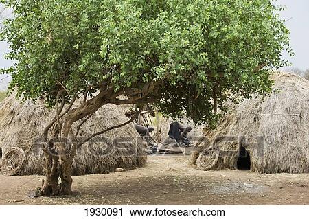 Stock Image - Ethiopia, South Omo, Mursiland, Traditional Village of Mursi Tribe; Sholbi Village. Fotosearch