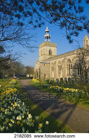 Stock Photography - Europe, Uk, England, Norfolk, Shipdham Parish Church Spring. Fotosearch