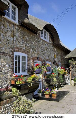 Stock Photo - Europe, Uk, England, Sussex, Selsey, Thatched Cottage. Fotosearch