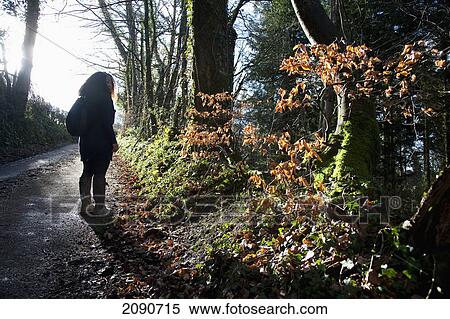 Evening Light Casting Long Shadows, As A Female Walker Ascends A Hill In Woodland Mid Devon, South West, Uk View Large Photo Image Stock Photography - Evening Light Casting Long Shadows, As A Female Walker Ascends A Hill In Woodland Mid Devon, South West, Uk. Fotosearch