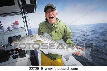 Excited man holding a striped bass; cape cod massachusetts usa View Large Photo Image Stock Photo - Excited man holding a striped bass; cape cod massachusetts usa. Fotosearch