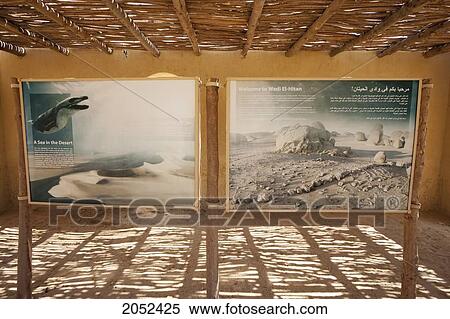 Explanatory Sign In Wadi Al-Hitan (Whale Valley), El Fayoum, Egypt View Large Photo Image Stock Photography - Explanatory Sign In Wadi Al-Hitan (Whale Valley), El Fayoum, Egypt. Fotosearch