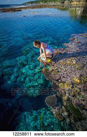 Stock Image - Exploring the reef that rings Niue Island; Niue. Fotosearch